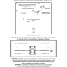 Трековый светильник NOVOTECH ARUM 357693 NV-357693